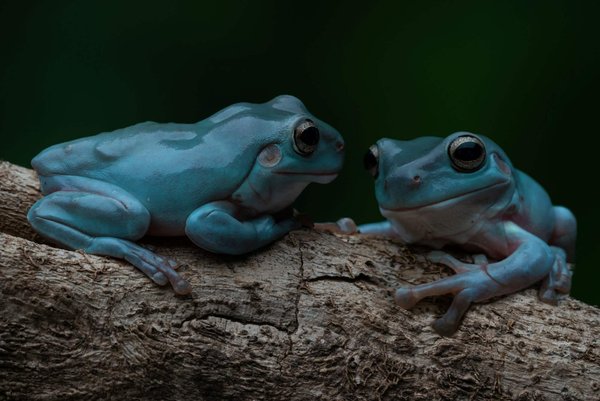 Peut-on combiner des bijoux en argent avec une robe de soirée dorée?
